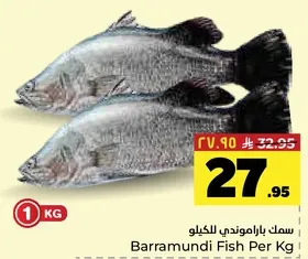 سمك باراموندي للكغو