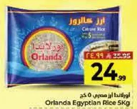 اورلندا ارز مصري 5 كجم