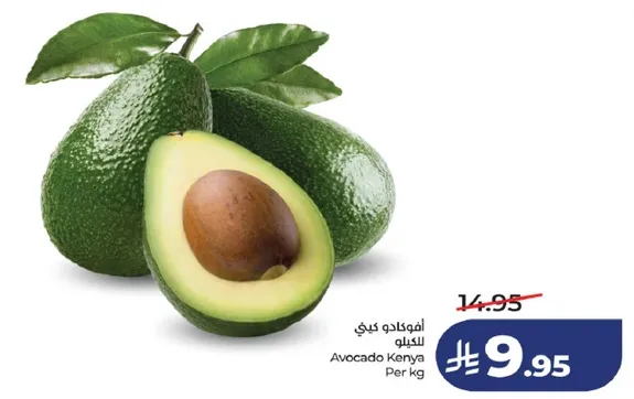 افوكادو كيني