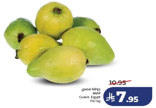 جوافه مصري