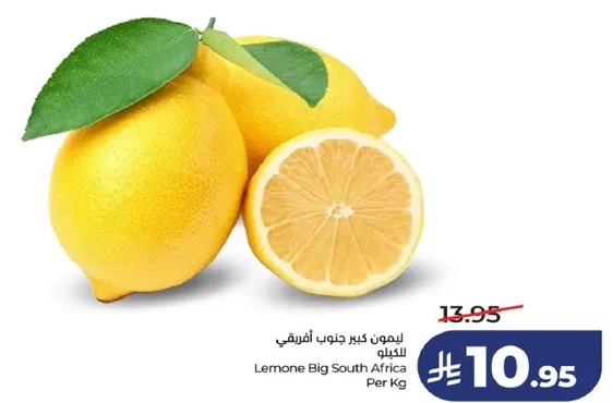 ليمون كبير جنوب افريقيا