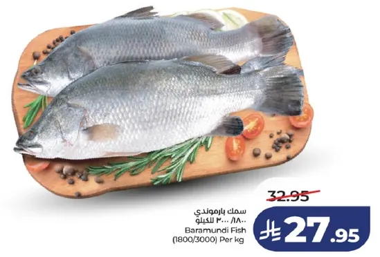 سمك باراموندي (1800/3000) لكل كيلو