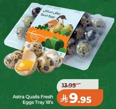 بيض سمان استرا طقم 18