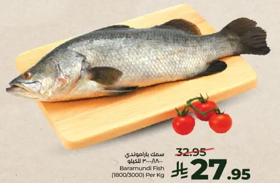 سمك باراموندي (1800/3000) لكل كيلو