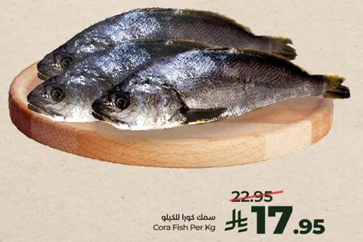 سمك كورا النيل