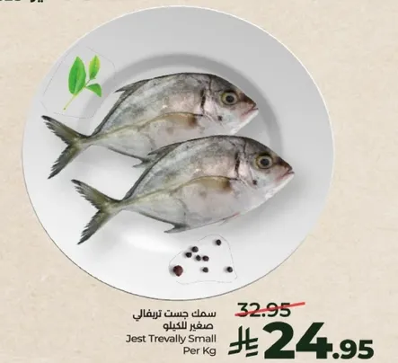 سمك جست ترفالي صغير