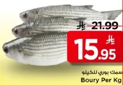 سمك بوري للكيلو