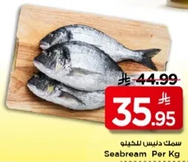 سمك درنيز للحكيلو