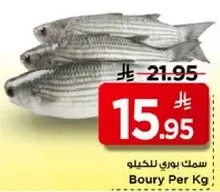 سمك بوري للكيلو