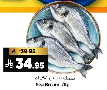 سمك دنيش/كيلو