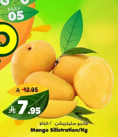 Mango Silistration/Kg