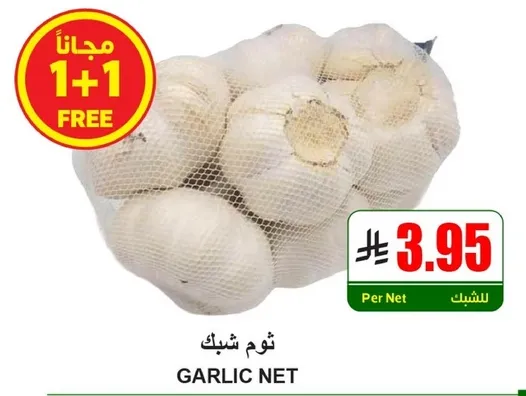 Garlic net