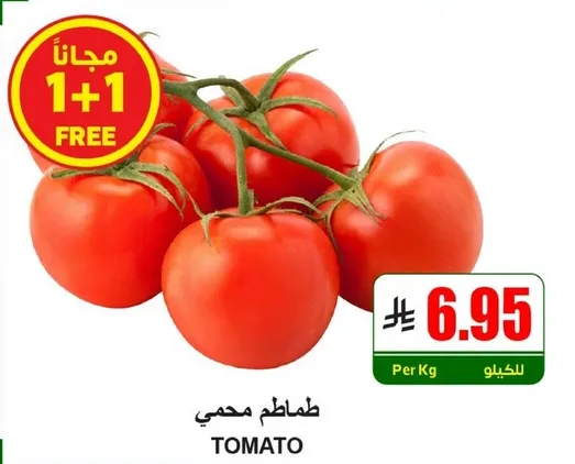 طماطم