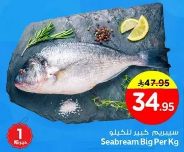 سيبريم كبير بالكيلو