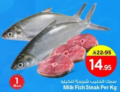 سمك الحليب شريحه للكilo