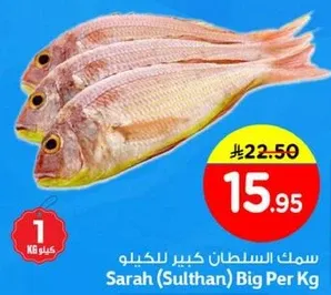 سمك السلطان كبير للحكيلو