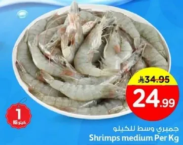 جمبري وسط للكيلو