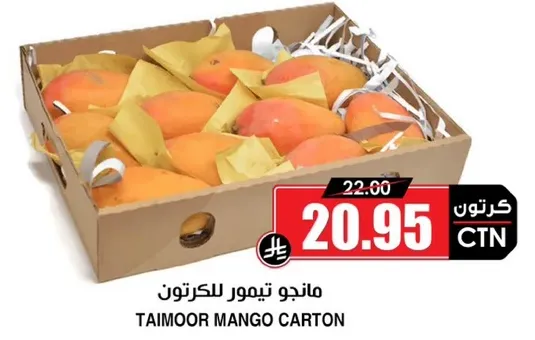 مانجو تيمور للكرتون