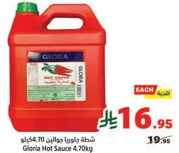 شطه جلوريا جالون 4.70 كيلو