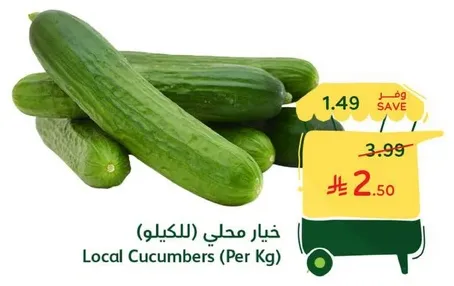 خيار محلي (للكيلو)