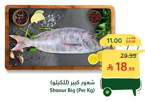 Shaour Big (Per Kg)