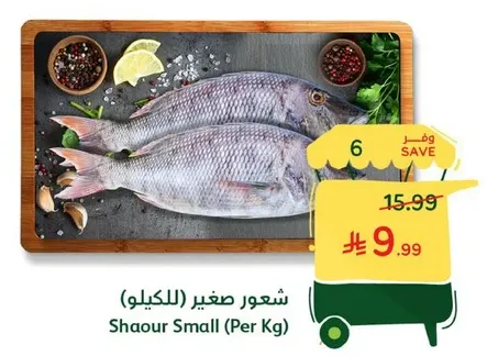 Shaour Small (Per Kg)
