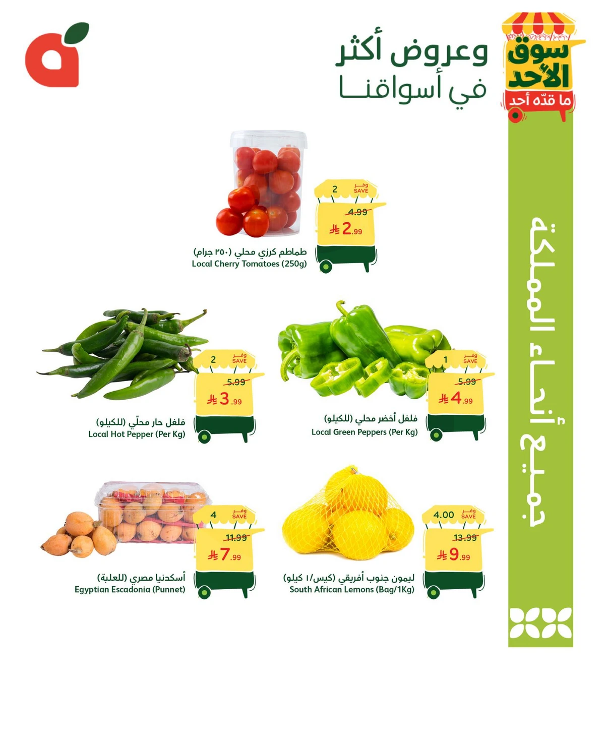 عروض الطازج - صفحة 3