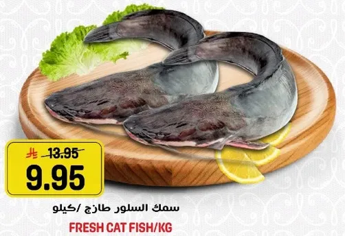 سمك السلور طازج/كيلو
