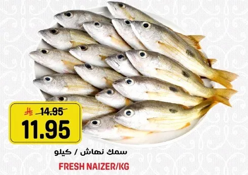 سمك نهاش كيلو