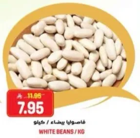 فاصوليا بيضاء / كيلو