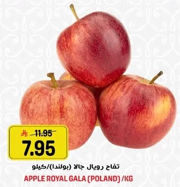 تفاح رويال جالا (بولندا) /كيلو