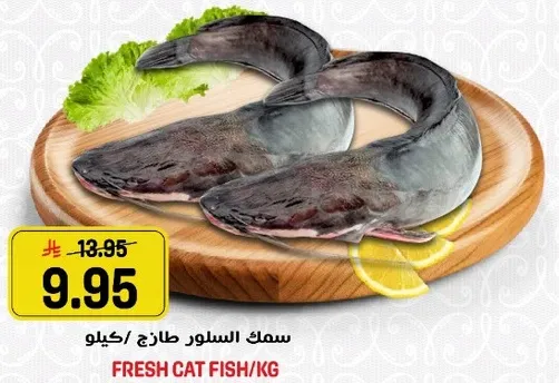 سمك السلور طازج/كيلو