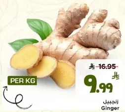 زنجبيل