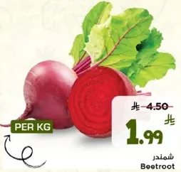 شمندر