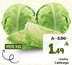 ملفوف