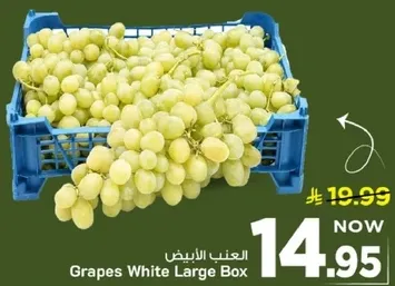 العنب الابيض كبير الحجم
