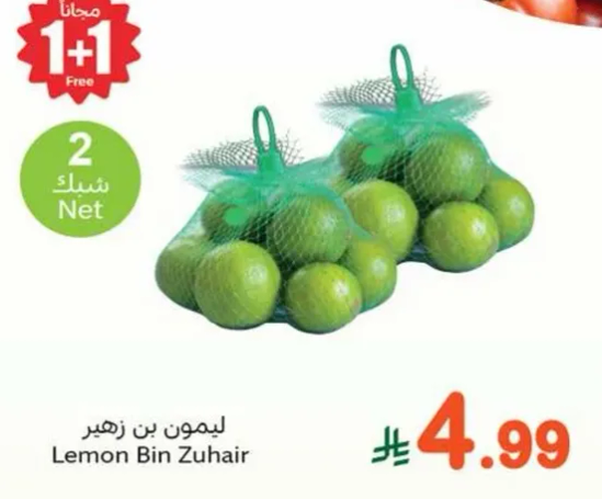ليمون بن زهير