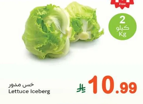 خس مدور