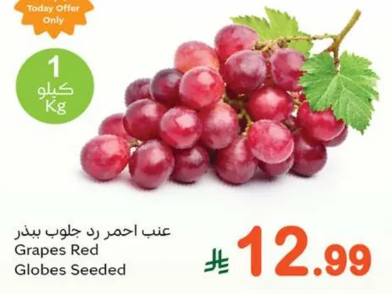 عنب احمر رد جلوب بيدذ