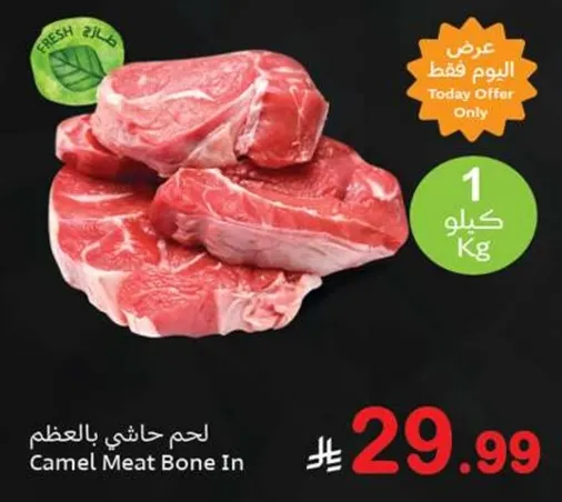 Camel Meat Bone In