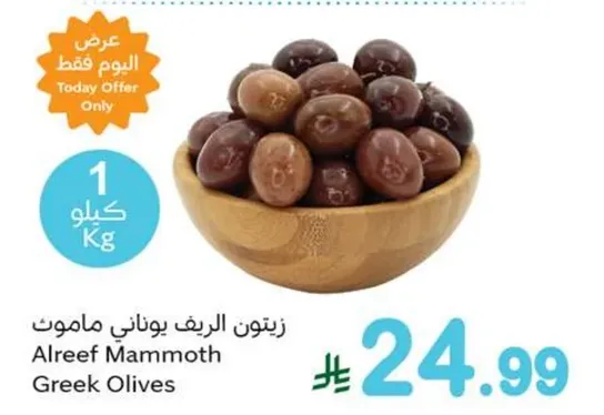 زيتون الريف يوناني ماموت