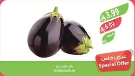 باذنجان مصري دايري
