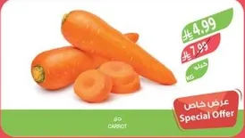 جزر