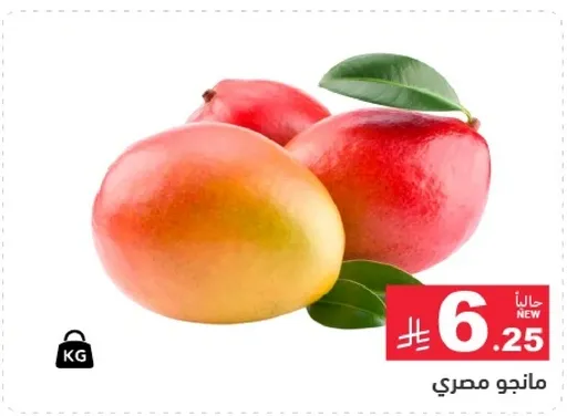 مانجو مصري.