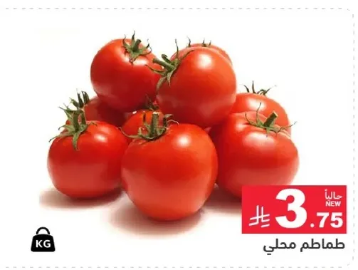 طماطم محلي