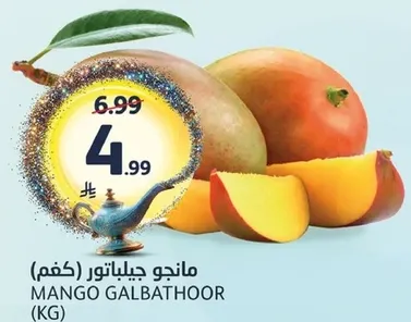 مانجو جيلباتور (كغم)