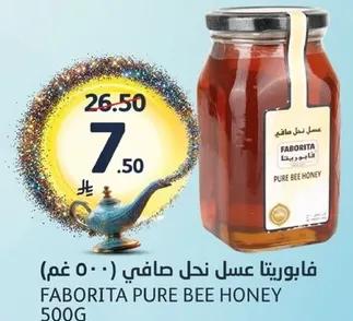 فابوريتا عسل نحل صافي 500 غم