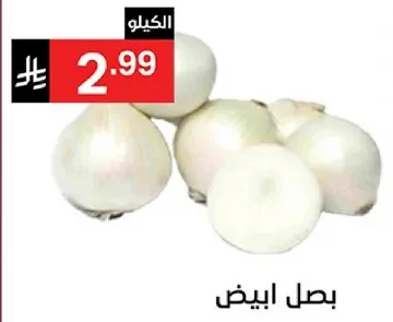 بصل ابيض