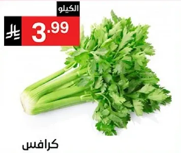 كرفس