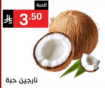 جوز الهند